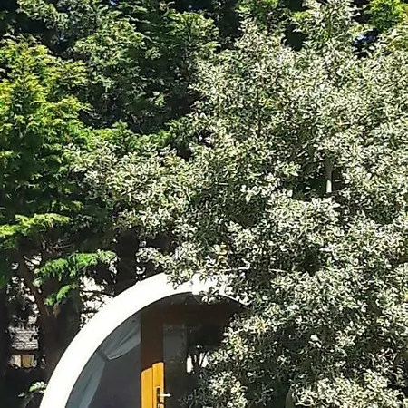 Campsite Priory Glamping Pods And Guest