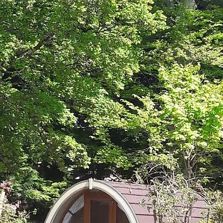 Priory Glamping Pods And Guest * 킬라니