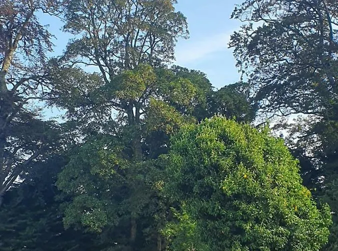 Кемпинг Priory Glamping Pods And Guest