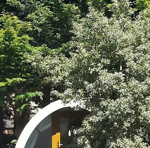 Campingplatz Priory Glamping Pods And Guest