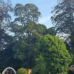 Kemping Priory Glamping Pods And Guest